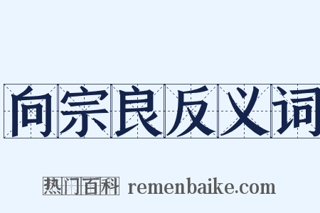 向宗良反义词是什么意思的图片